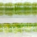 Late instar larva • Snailbeach, Shropshire. April 2000 on Acer campestre. • © Ian Smith