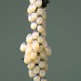 Eggs • ex. female reared from pupa, Cromwell Bottom, W. Yorks • © Ian Kimber