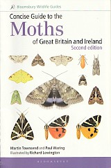 Concise Guide to the Moths of Great Britain and Ireland - cover