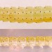 10mm larva • on Salix. June. Imago reared. • © Ian Smith