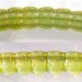 Larva • On Cytisus scoparius. Late July. Shropshire. Imago reared. • © Ian Smith
