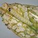 Early instar larva • Lizard, Cornwall. On Serratula tinctoria. • © Bob Heckford